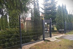 Dragon-ball-metal-noble-anthracite-double-bar-fence-with-stylish-entrance-gates-and-idyllic-green-area