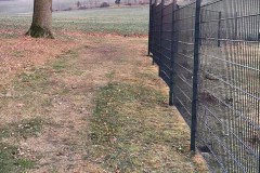 Dragon-Ball-Metal-Elegant-anthracite-double-bar-fence-along-a-field-path-with-a-tree-and-a-far-view