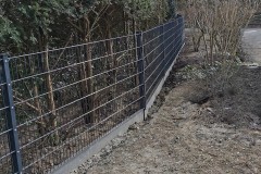 Dragon-Ball-Metal-High-quality-anthracite-double-bar-fence-alley-wzdłuż-ogrodu-z-evergreen-planting