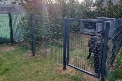 Dragon-Ball-Metal-Modern-double-bar-fence-with-anthracite-brazil-elements-and-robust-white-posts