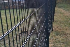 Dragon_Ball_Metal_double_bar_mesh_fence_elements_green_vining_plant_garden_with_sunshine