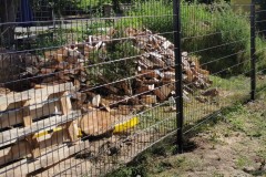 Dragon Ball Metal Doppelstabmatten Zaunelemente Gruen Rankpflanze Garten mit Sonnenschein Metalltor Hundehuette