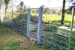 Dragon_Ball_Metal_Doppelstabmatten_Zaunelemente_Gruen_Rankpflanze_Garten_mit_Sonnenschein_Metalltor_Hundehuette_Gartenmoebel_Kindertrampolin_Swimmingpool_Sommer