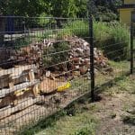 dragon ball metal doppelstabmatten zaunelemente grün rankpflanze garten mit sonnenschein metalltor hundehütte