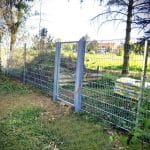 dragon ball metal doppelstabmatten zaunelemente grün rankpflanze garten mit sonnenschein metalltor hundehütte gartenmöbel kindertrampolin swimmingpool sommer